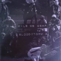 Mile Me Deaf – Bloodstorm2